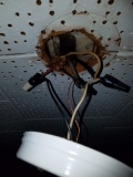 Old wiring upgrade from knob and tube to modern romex wiring.  New switches, receptacles, and lighting
